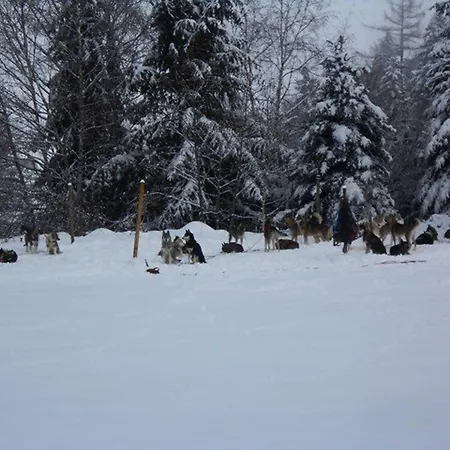 Apartamento T2 Lumineux, 6 Pers., Parking, Proche Commerces Et - Fr-1-403-39 *